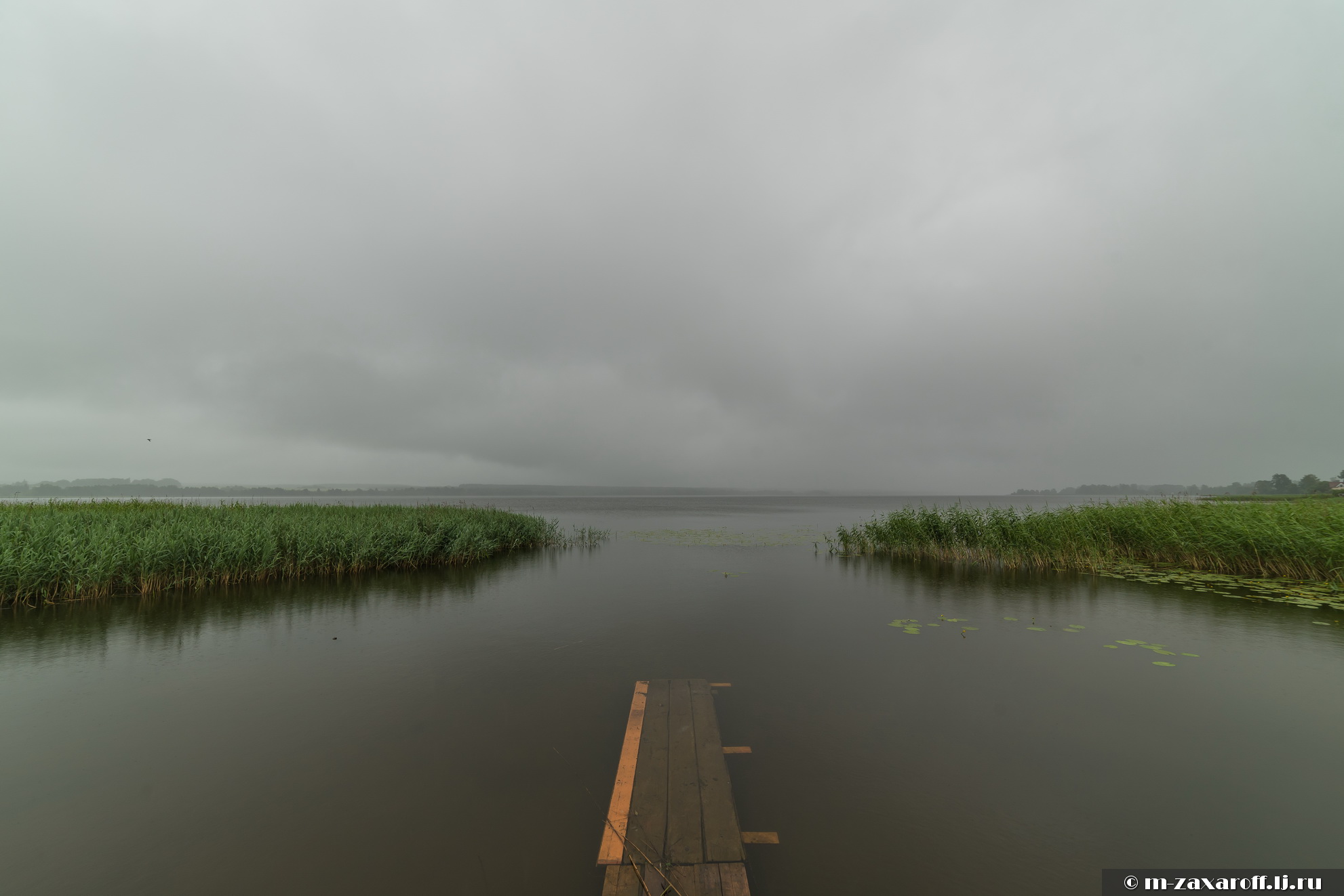 Svir (Свирь)